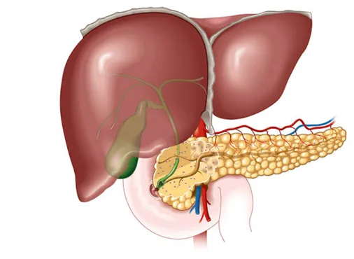 Bile Duct Disorders consultation at Niraaya Hospital